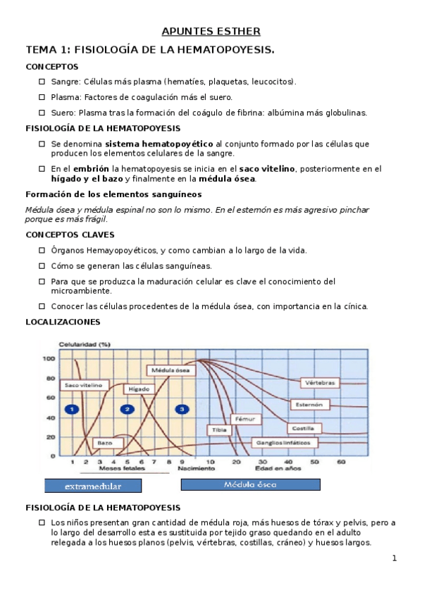 Miniatura del documento APUNTES-ESTHER.docx