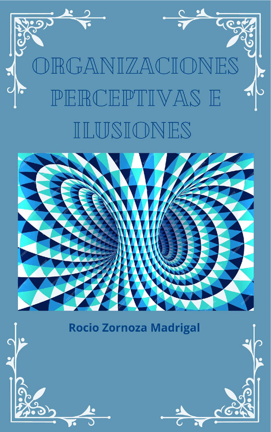 Miniatura del documento practica-ilusiones-opticas.pdf
