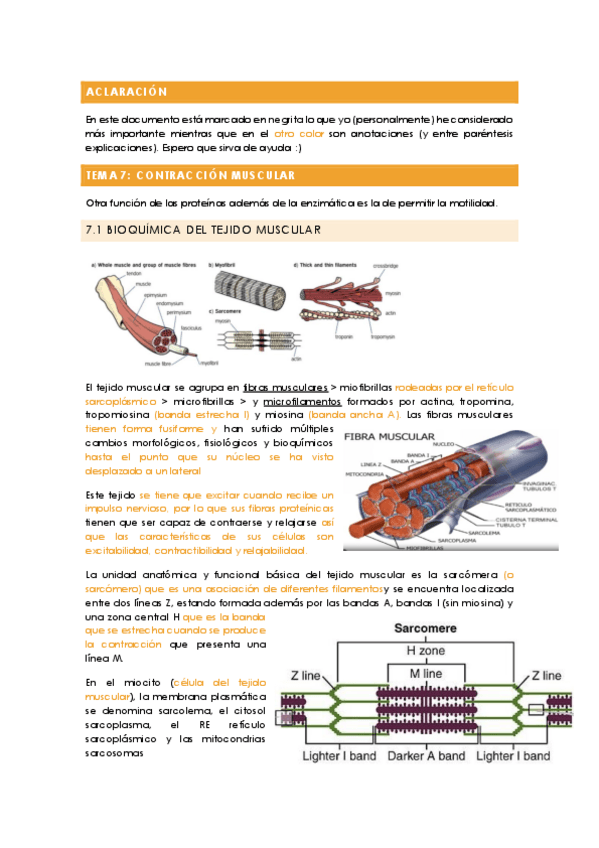 Miniatura del documento Fundamentos de bioquimica - TEMA 7 (con anotaciones).pdf