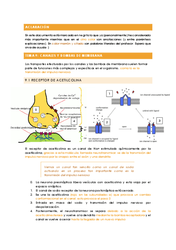 Miniatura del documento Fundamentos de bioquimica - TEMA 9 (con anotaciones).pdf