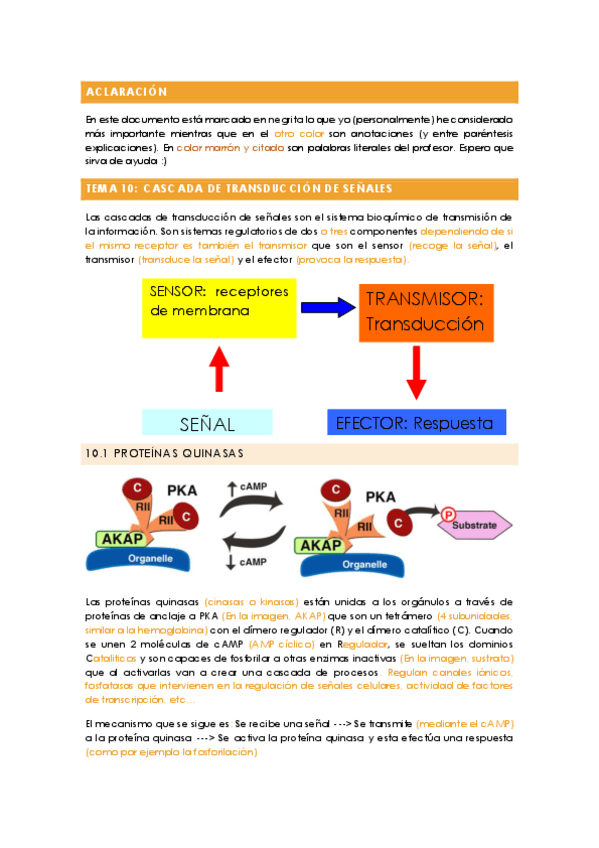 Miniatura del documento Fundamentos de bioquimica - TEMA 10 (con anotaciones).pdf