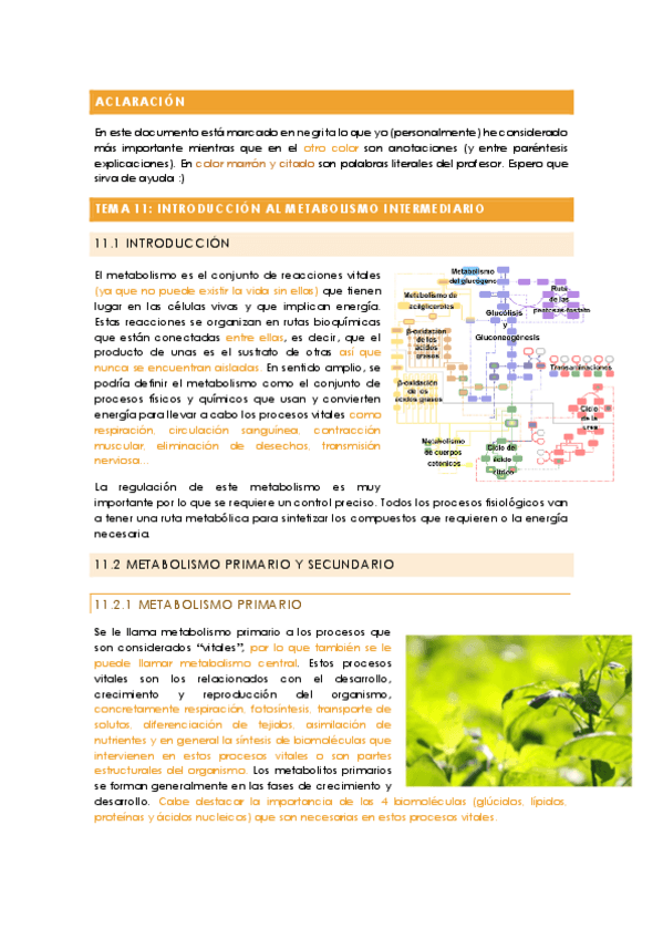 Miniatura del documento Fundamentos de bioquimica - TEMA 11 (con anotaciones).pdf