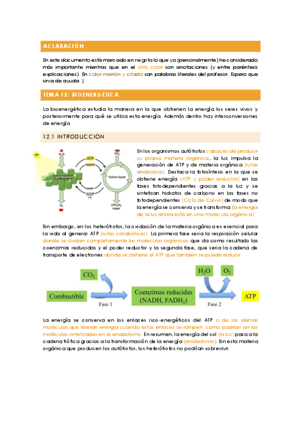 Miniatura del documento Fundamentos de bioquimica - TEMA 12 (con anotaciones).pdf