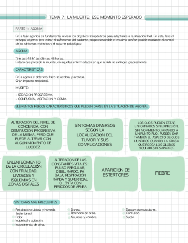 Miniatura del documento T7-MUERTE.pdf
