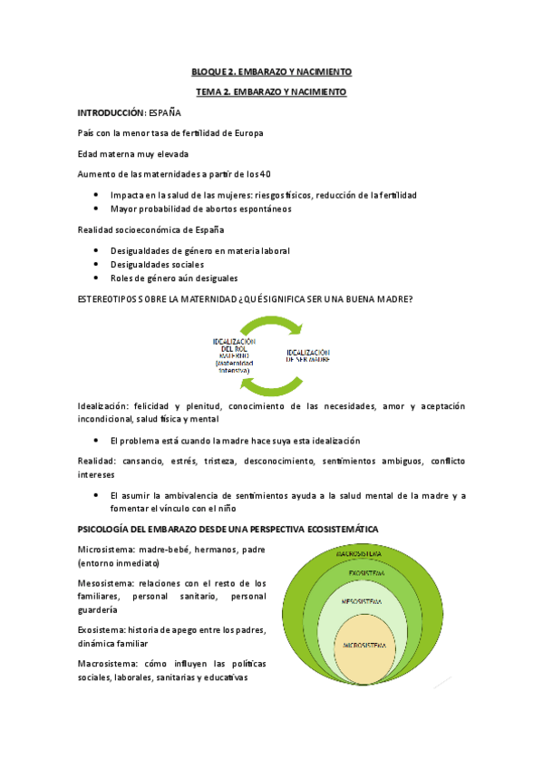 Miniatura del documento 2.-EMBARAZO-Y-NACIMIENTO.pdf