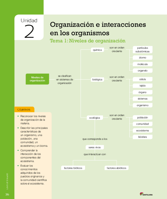 Miniatura del documento Resumen-detallado-Organizacion-e-interacciones-de-los-organismos.pdf