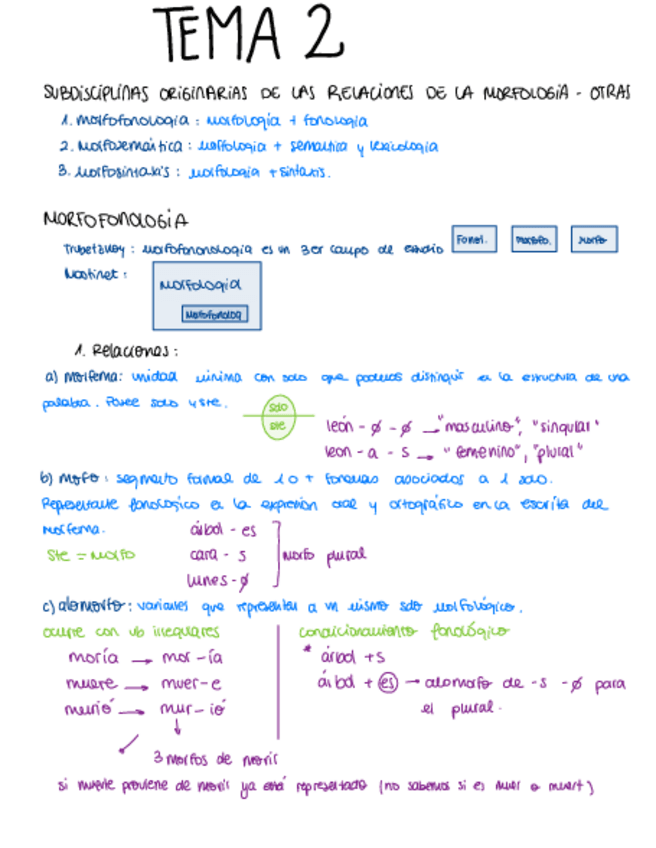 Miniatura del documento T2 morfo.pdf