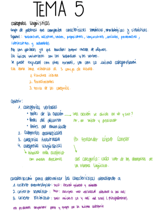 Miniatura del documento T5 morfo.pdf