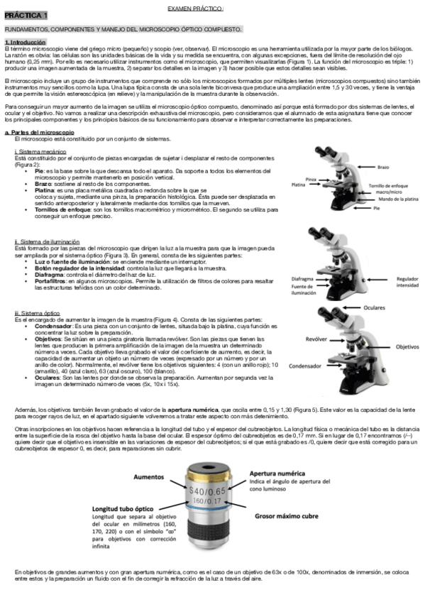 Miniatura del documento examen-practico-biologia.pdf