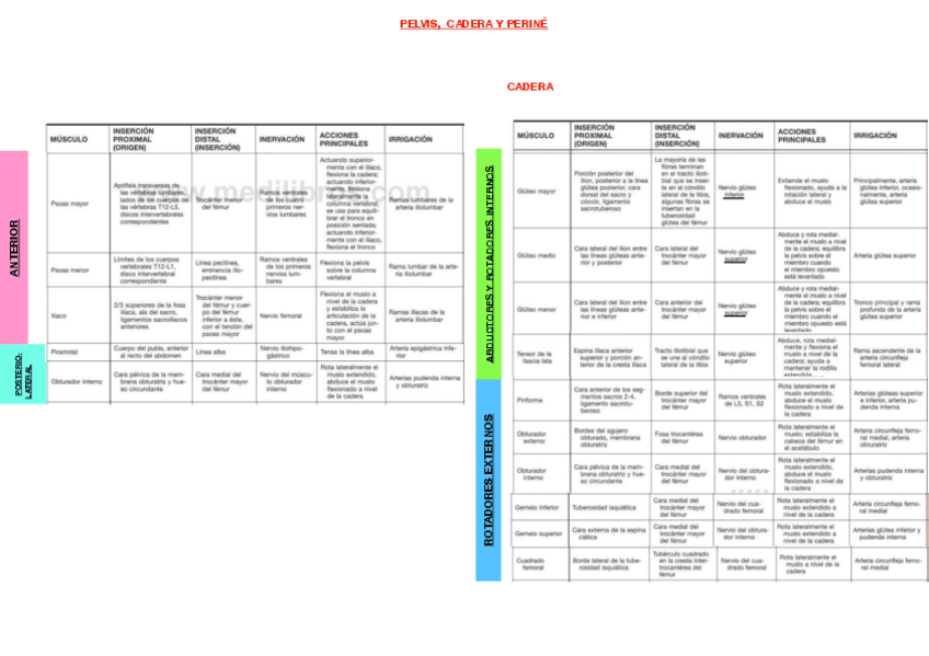 Miniatura del documento tablas-pelvis-y-cabeza.pdf