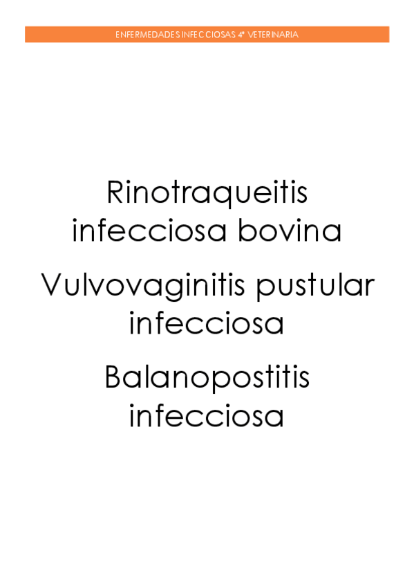 Miniatura del documento Rinotraqueitis-infecciosa-bovinaJ-vulvovaginitis-pustular-infecciosa-y-balanopostitis-infecciosa.pdf
