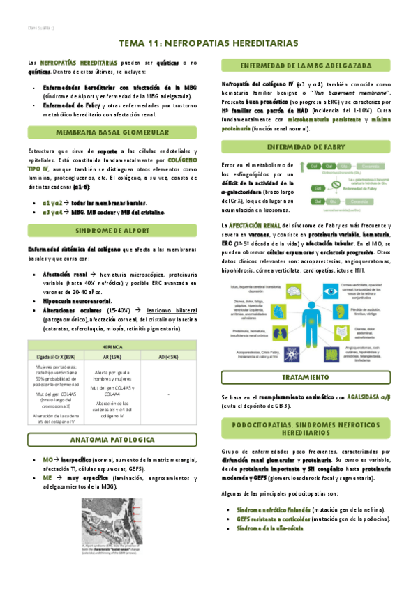 Miniatura del documento T11-Nefropatias-hereditarias.pdf