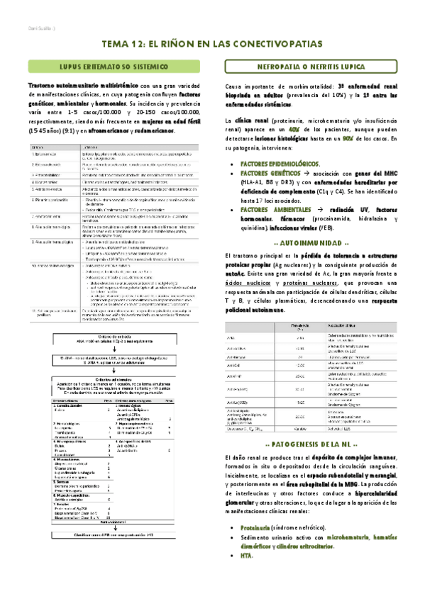 Miniatura del documento T12-El-rinon-en-las-conectivopatias.pdf