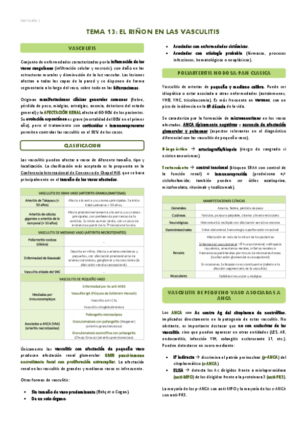 Miniatura del documento T13-El-rinon-en-las-vasculitis.pdf