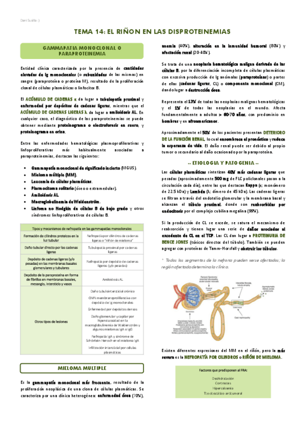 Miniatura del documento T14-El-rinon-en-las-disproteinemias.pdf