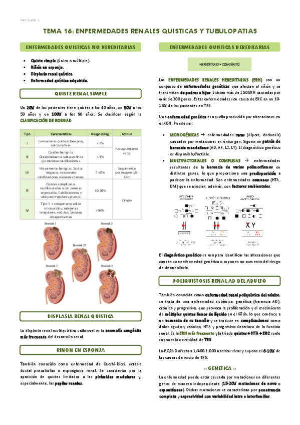 Miniatura del documento T16-Enfermedades-renales-quisticas-y-tubulopatias.pdf