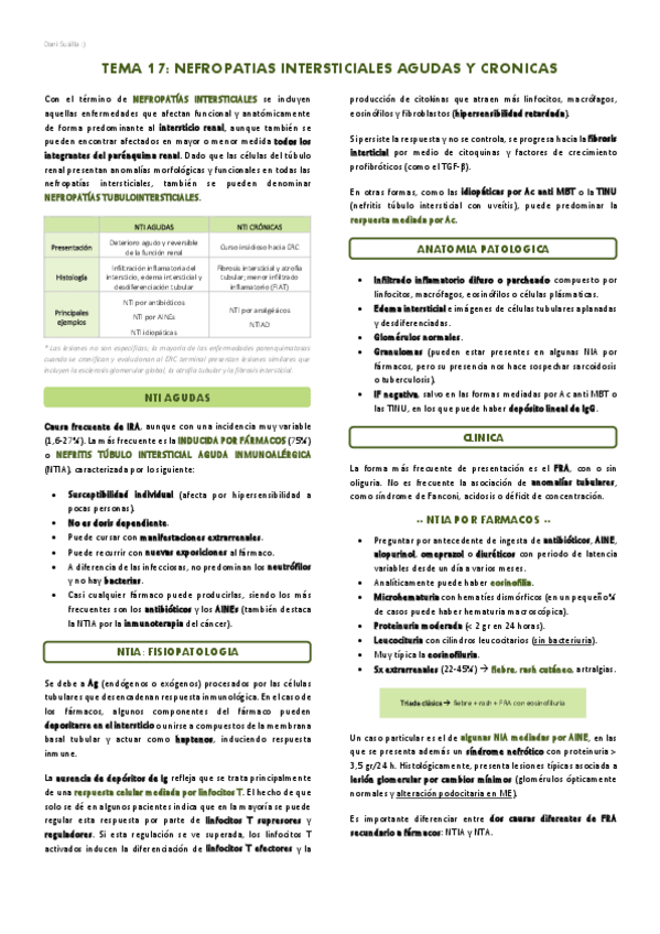 Miniatura del documento T17-Nefropatias-intersticiales.pdf