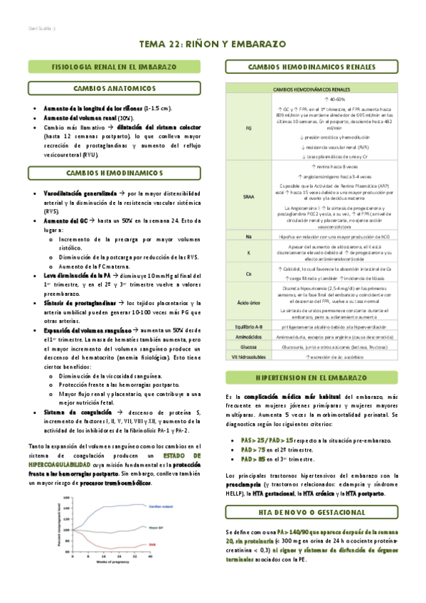 Miniatura del documento T22-Rinon-y-embarazo.pdf