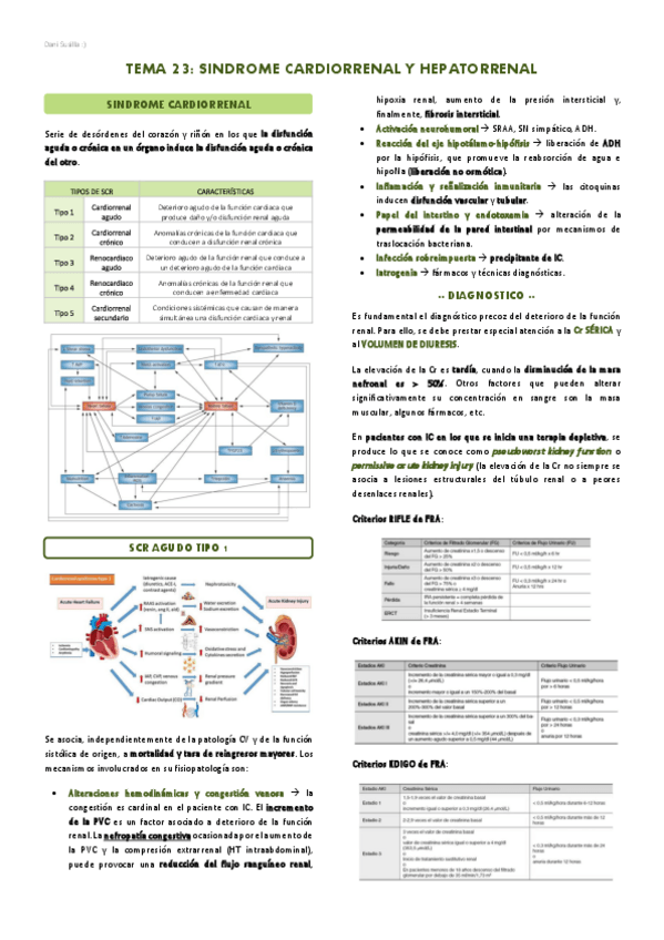 Miniatura del documento T23-Sindrome-cardiorrenal-y-hepatorrenal.pdf
