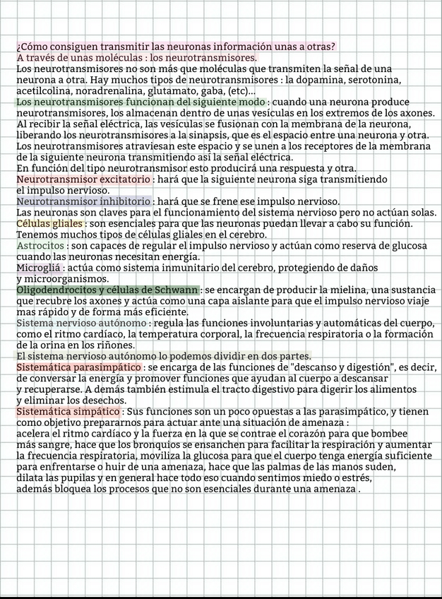 Miniatura del documento Transmision-de-informacion-neuronas.jpg