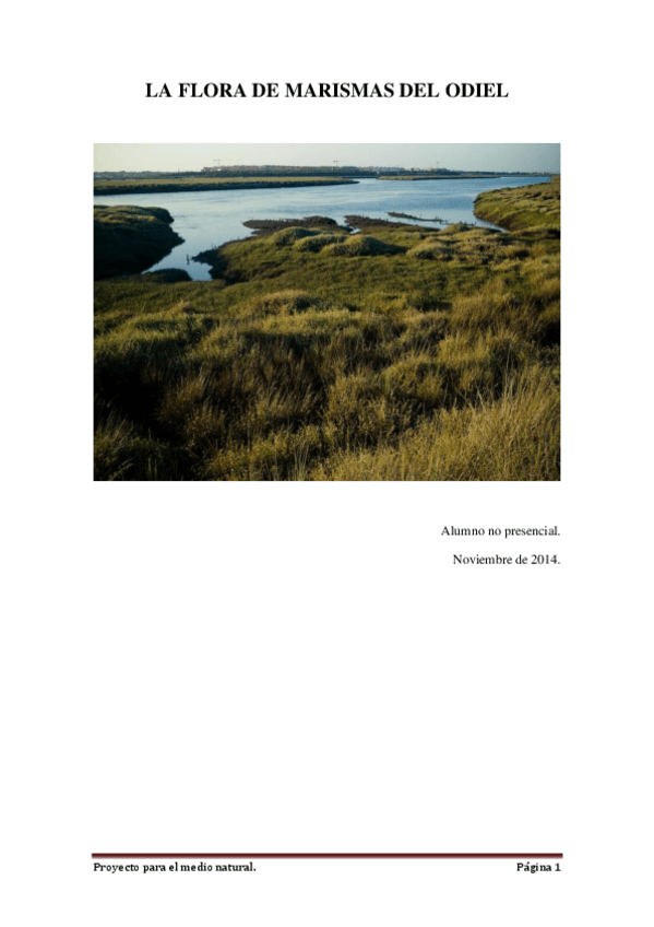 Miniatura del documento MARISMAS-DEL-ODIEL.pdf