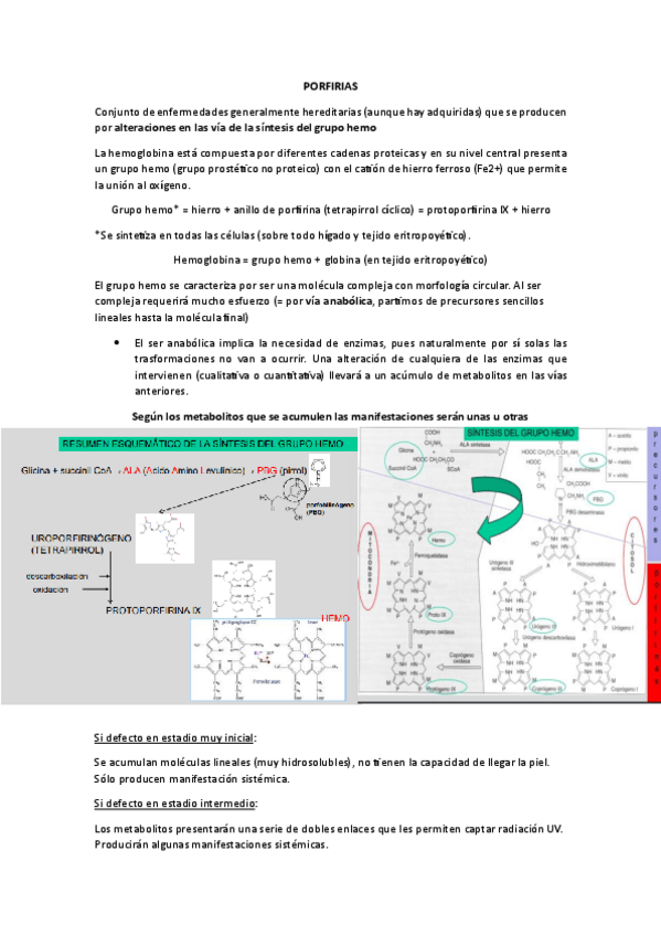 Miniatura del documento DERMA-PORFIRIA-OK.pdf