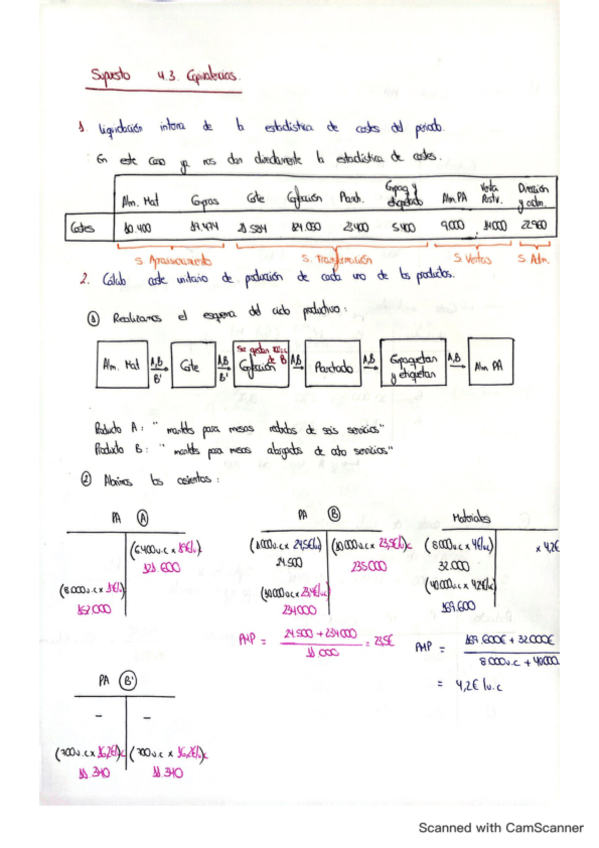 Miniatura del documento Supuesto-4.3..pdf