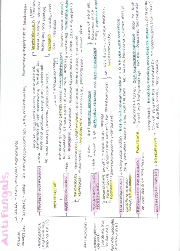 Miniatura del documento esquemas-farma-2.pdf