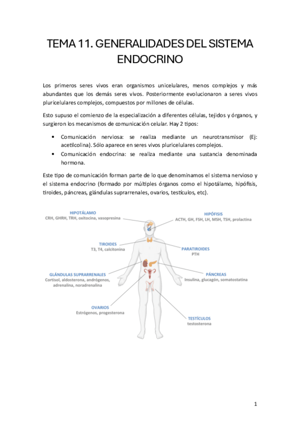Miniatura del documento Fisiologia-endocrina-y-de-la-reproduccion.pdf