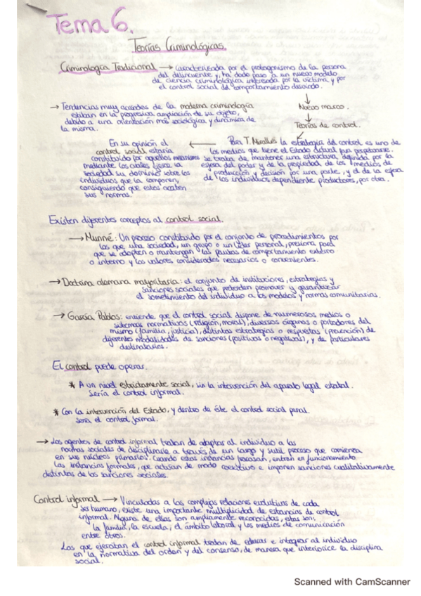 Miniatura del documento Tema-6-teorias-criminologicas.pdf
