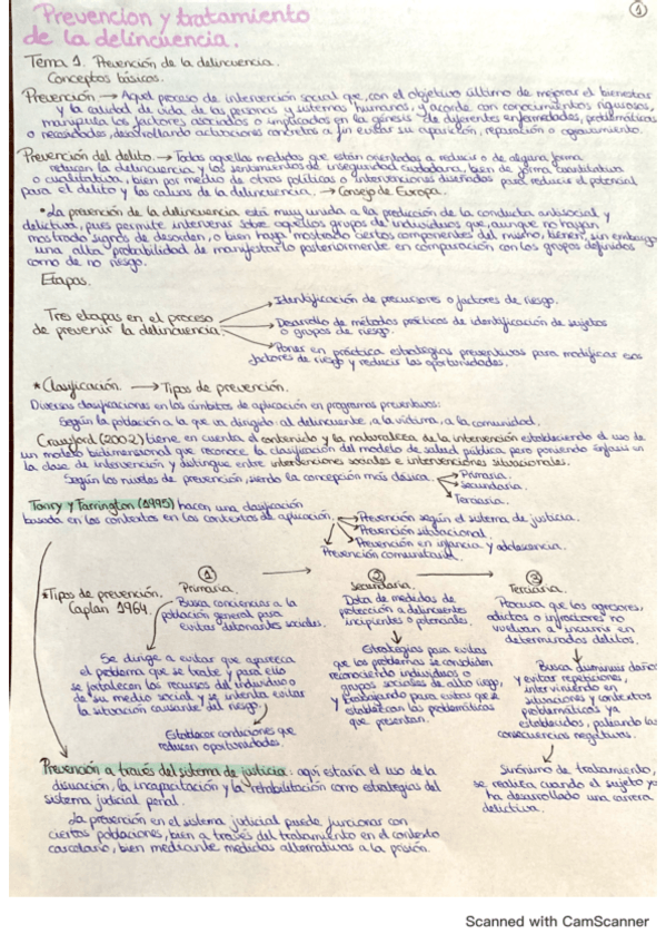 Miniatura del documento Tema-1-prevencion-y-tratamiento-de-la-delincuencia.pdf