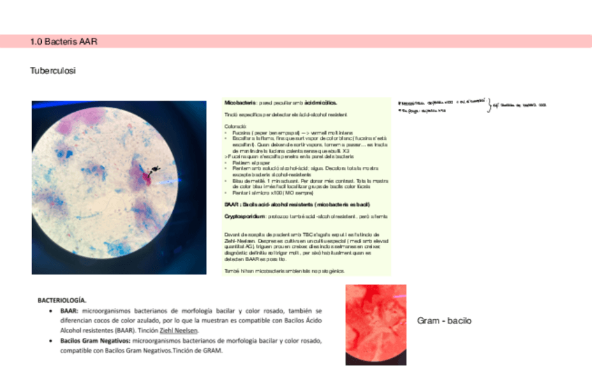 Miniatura del documento Practicas-Cosas-Imp.pdf