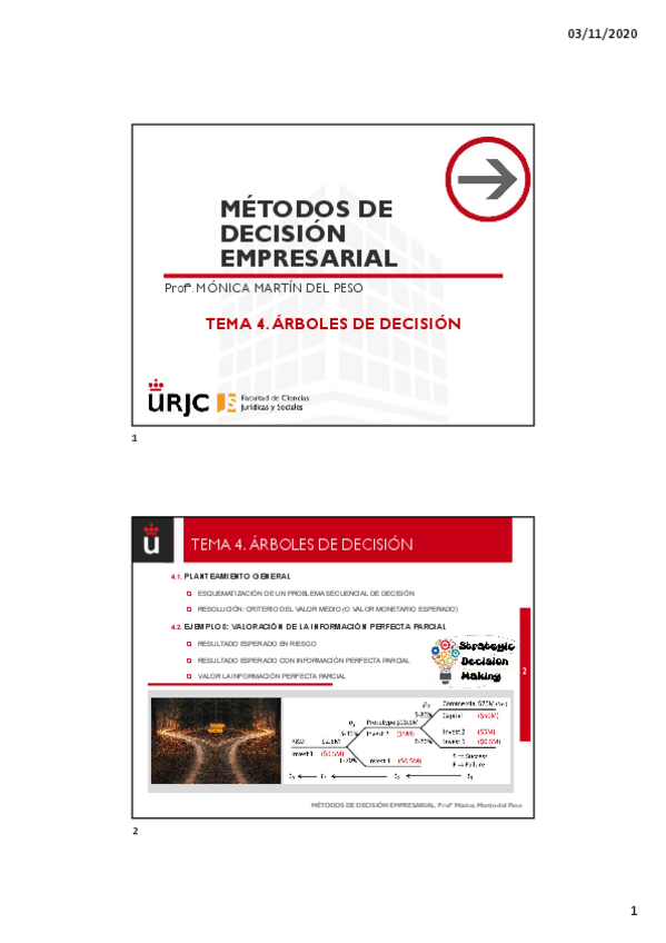 Miniatura del documento Tema-4.-Arboles-de-decision.pdf