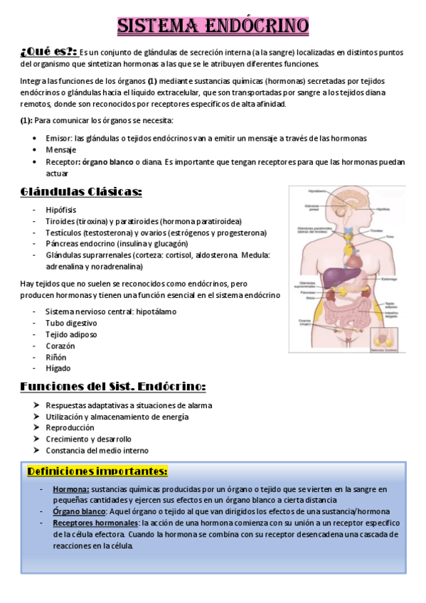 Miniatura del documento RESUMEN3ERPARCIALFISIO.pdf