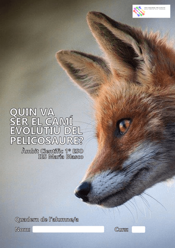 Miniatura del documento VAL-UNIDAD-06-COMPLETA.pdf