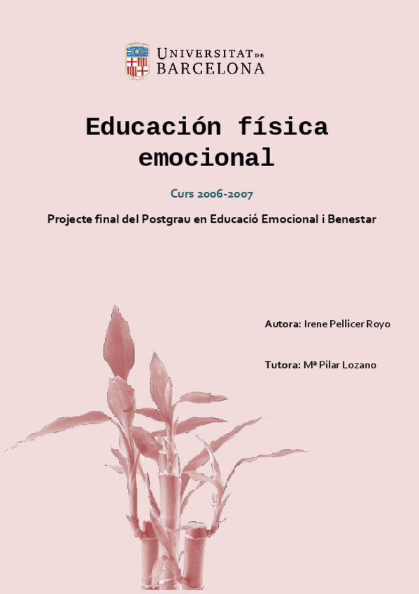 Miniatura del documento TFPIrenePellicerEducacionfisicaemocional.pdf