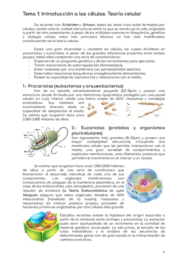 Miniatura del documento citohistopmp.pdf