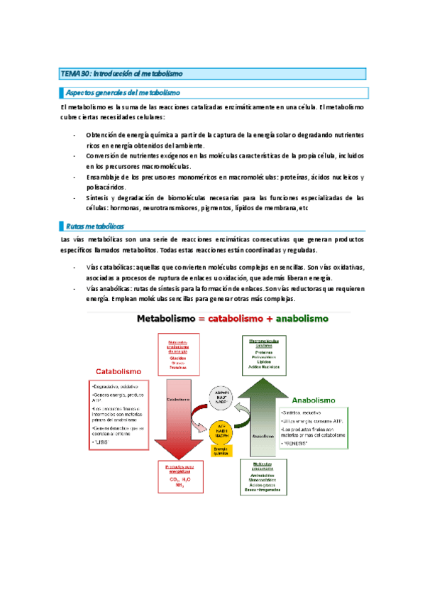 Miniatura del documento bioquimica-parcial-3.pdf