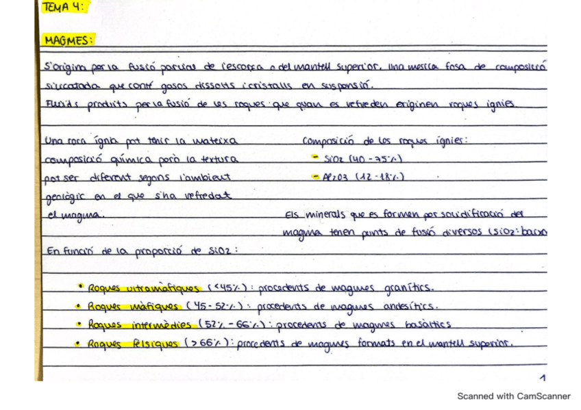 Miniatura del documento GEOQUIMICA-II-fixes-tema-4.pdf