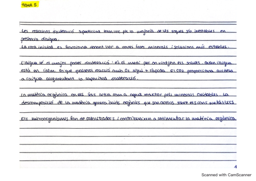 Miniatura del documento GEOQUIMICA-II-fixes-tema-5.pdf