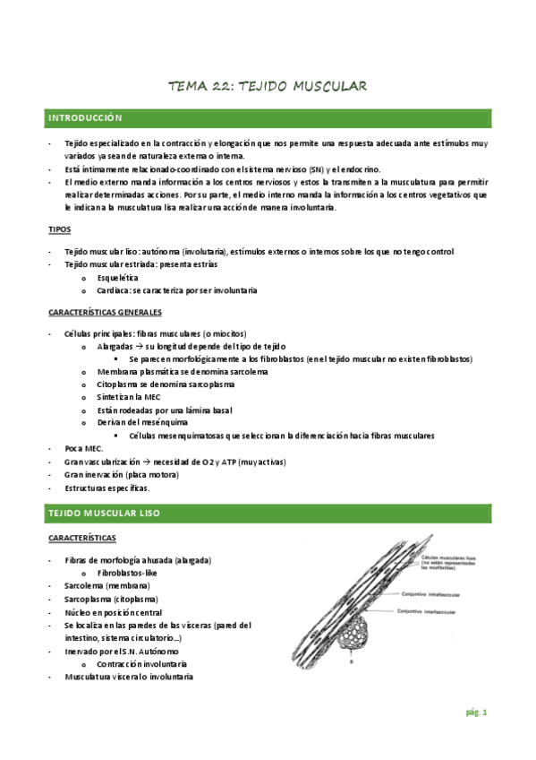 Miniatura del documento TEMA-22-TEJIDO-MUSCULAR.pdf