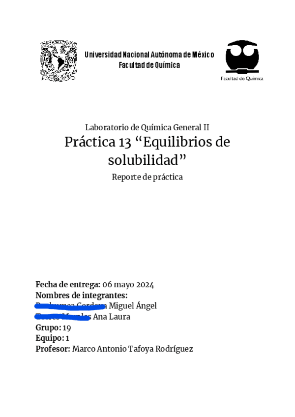Miniatura del documento Reporte-13-Equilibrios-de-solubilidad.pdf