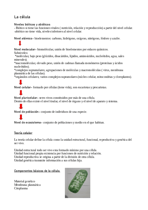 Miniatura del documento Biologia-4ESO.-Las-celulas.pdf