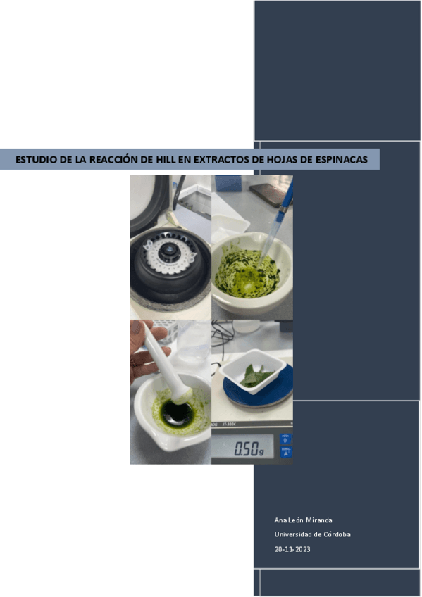 Miniatura del documento practica-3.pdf