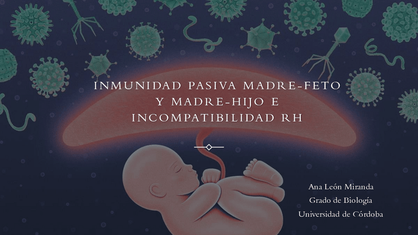Miniatura del documento Inmunidad-pasiva-madre-feto-y-madre-hijo-e-incompatibilidad-Rh.pdf