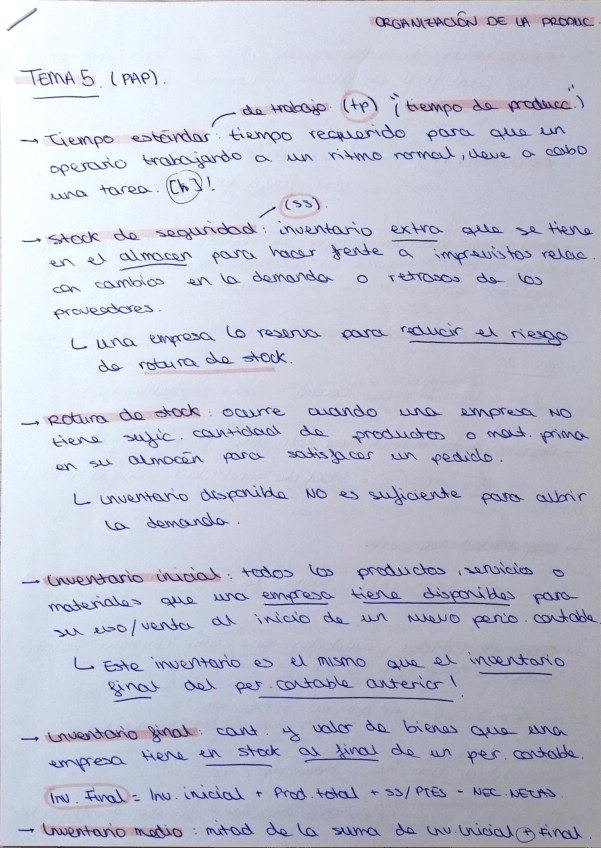 Miniatura del documento Apuntes-Tema-5.pdf