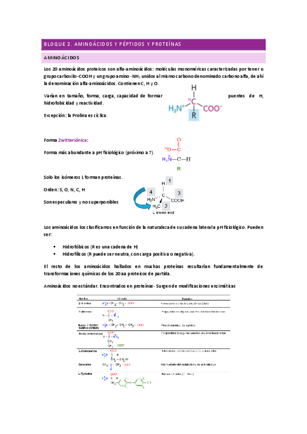 Miniatura del documento BIOQUIMICA-2.1-22.pdf