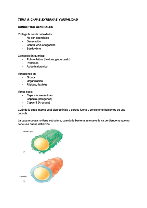 Miniatura del documento Tema-5.-Microbiologia.pdf