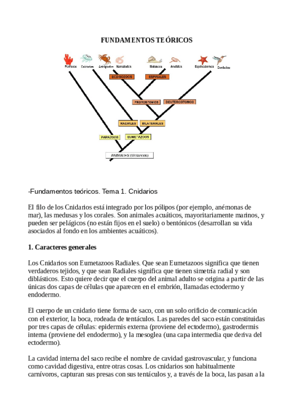 Miniatura del documento Fundamentos-Teoricos-1.-Zoologia.pdf