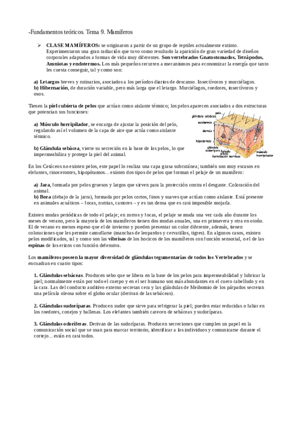 Miniatura del documento FT9.-mamiferos.pdf